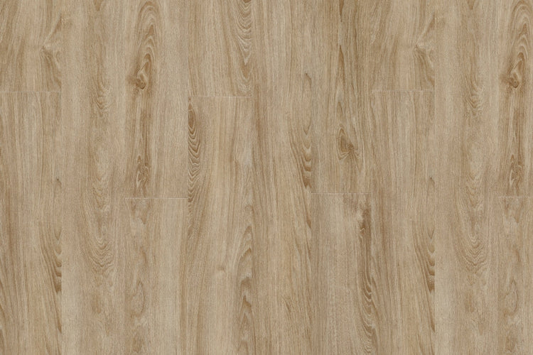 LVT ROOTS 40 DRY - 22231 MIDLAND OAK