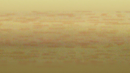1686 x418
