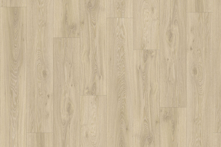 LVT - ROOTS 55 DRY 22215 Blackjack Oak