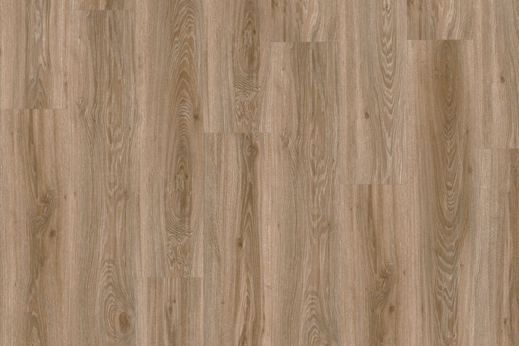 LVT - ROOTS 55 DRY 22229 Blackjack Oak