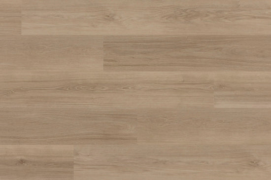 LVT ZENN30 CLICK - 2207 ORLANDO