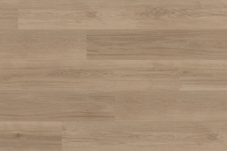LVT ZENN30 CLICK - 2207 ORLANDO